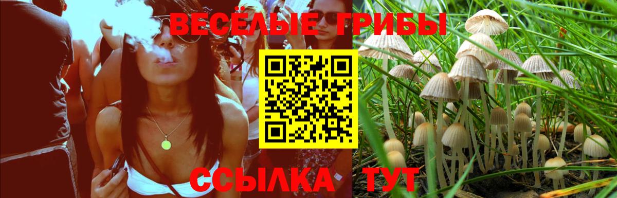 Псилоцибиновые грибы мухоморы Кандалакша